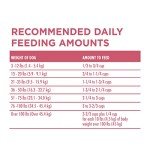 Purina One SmartBlend Sensitive Systems Dog Food