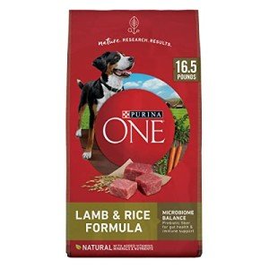 Purina ONE SmartBlend Lamb and Rice Dog Food