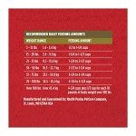 PURINA ONE Lamb and Rice Dog Food Blend