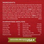 PURINA ONE Lamb and Rice Dog Food Blend