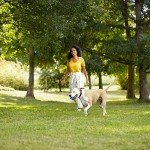 Rachael Ray Nutrish Peak Grain-Free Dog Food