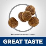 Hill's Science Diet Small Bites for Senior Dogs