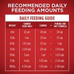 Purina ONE SmartBlend Dog Food Variety Pack
