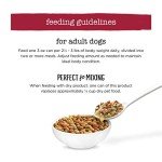 Purina Beneful Medleys Mediterranean Style Chicken 3oz