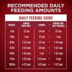 Purina ONE SmartBlend Natural Dog Food, Beef & Salmon