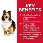 Premium Adult Dog Food and Chew Toys