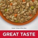 Premium Adult Dog Food and Chew Toys