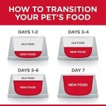 Premium Adult Dog Food and Chew Toys