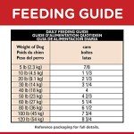 Premium Adult Dog Food and Chew Toys
