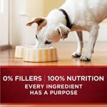 Purina ONE SmartBlend Wet Dog Food, Chicken & Duck