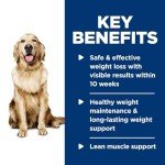 Hill's Science Diet Perfect Weight Dog Food, 12 Pack