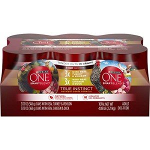 Purina ONE True Instinct Tender Cuts Wet Dog Food