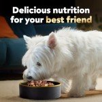 Home Delights Adult Wet Dog Food Variety Pack