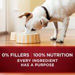 Purina ONE True Instinct Tender Cuts Wet Dog Food