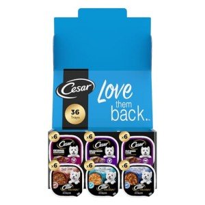 Cesar Classic Adult Wet Dog Food Variety Pack