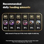 Cesar Classic Adult Wet Dog Food Variety Pack