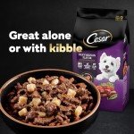 Cesar Classic Adult Wet Dog Food Variety Pack