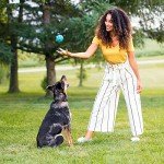 Rachael Ray Nutrish Weight Management Dog Food, Turkey & Pumpkin