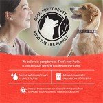 Purina Beyond Grain Free Wet Dog Food
