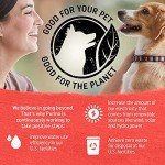 Purina Beyond Grain Free Wet Dog Food