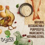 Purina Beyond Grain Free Wet Dog Food