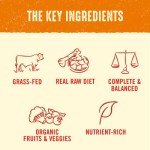 Stella & Chewy's Grain-Free Freeze-Dried Dog Patties