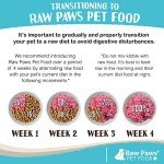 Raw Paws Beef Recipe Pet Food Rolls - 20 Pack