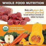 Primal Pet Foods Freeze-Dried Canine Beef Formula