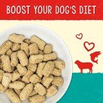 Stella & Chewy's Skin & Coat Boost Dog Food