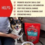 Stella & Chewy's Skin & Coat Boost Dog Food