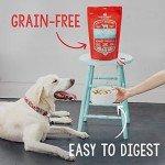 Stella & Chewy's Skin & Coat Boost Dog Food