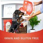 Stella & Chewy's Freeze-Dried Beef Dinner Dust