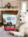 Beef & Pumpkin Raw Dog Food 14oz