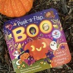 Peek-a-Flap Boo Interactive Fun Toy