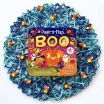Peek-a-Flap Boo Interactive Fun Toy