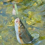 Luminous Metal Fishing Jigs and Spoons Set
