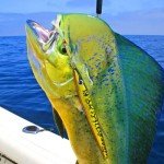 Gefischtter Vertical Metal Fishing Jigs - 200g