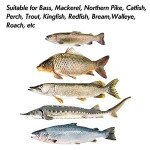 Dr.Fish 1oz Saltwater Jigging Spoon Lure