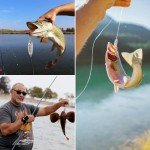 Goture Metal Fishing Spoons Lures for All Species
