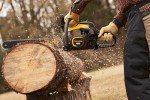 Poulan Pro 20" 50cc Gas Chainsaw