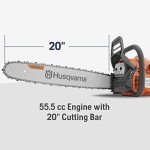 Husqvarna 455 Rancher 20-Inch Gas Chainsaw