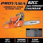 Gas Powered Chainsaw for Tree Cutting - 22 Inch