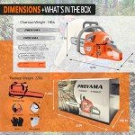 Gas Powered Chainsaw for Tree Cutting - 22 Inch