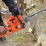 COOCHEER 62CC 20-Inch Gas Chainsaw for Wood Cutting