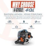 SENIX 4QL 18-Inch Gas Chainsaw for Trees