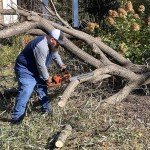 Yard Force YF1516CS Orange Chain Saw
