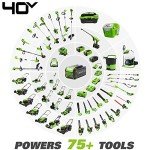 Greenworks 40V 12" Cordless Compact Chainsaw