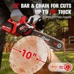 Decerk 12-Inch Cordless Electric Chainsaw with 21V Battery