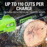 Greenworks 80V Brushless Cordless Chainsaw Kit