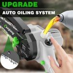 Portable Cordless Mini Chainsaw with 2 Batteries